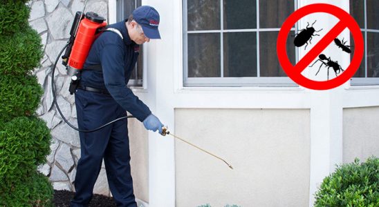 Suşehri Fare İlaçlama böcek ilaçlama ve haşere kontrolü — ilaclama-tr.com